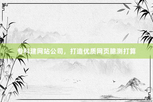 专科建网站公司，打造优质网页臆测打算